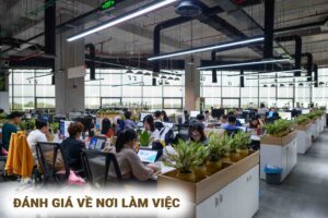 Đánh giá về nơi làm việc