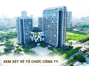 Xem xét về tổ chức công ty