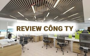 review công ty