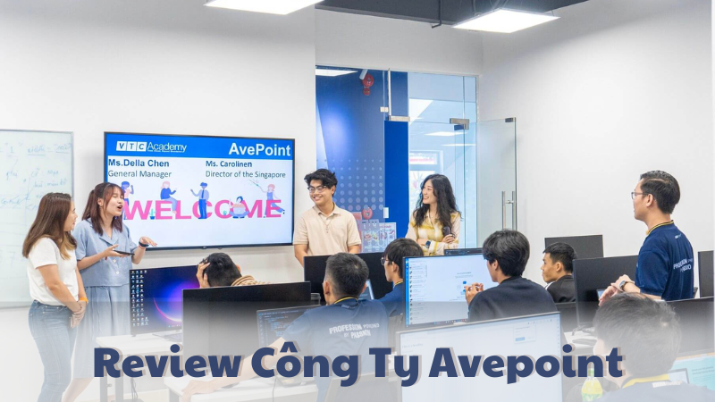 review công ty avepoint