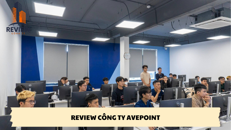 Review công ty avepoint,