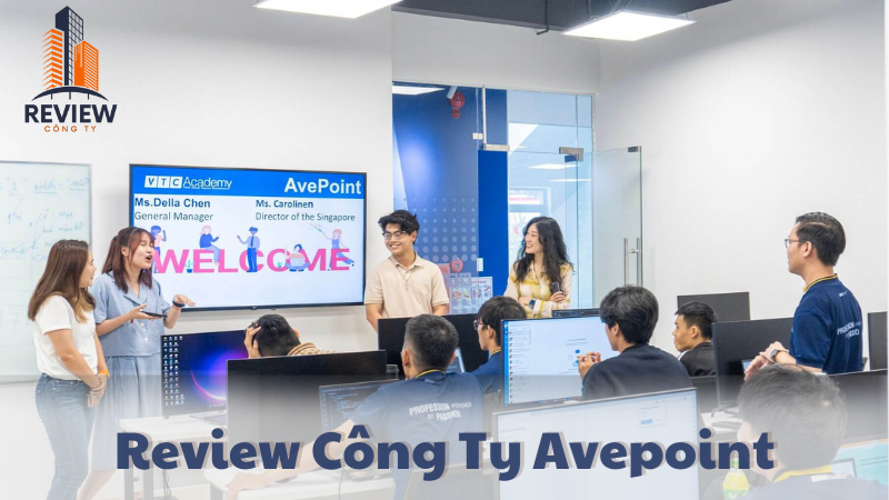 Review công ty avepoint,